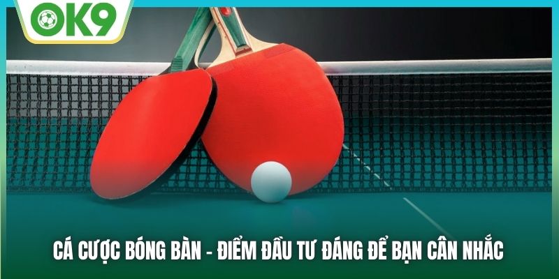 Cá Cược Bóng Bàn - Điểm Đầu Tư Đáng Để Bạn Cân Nhắc