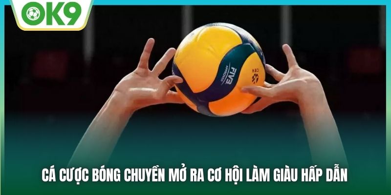 Cá cược bóng chuyền mở ra cơ hội làm giàu hấp dẫn