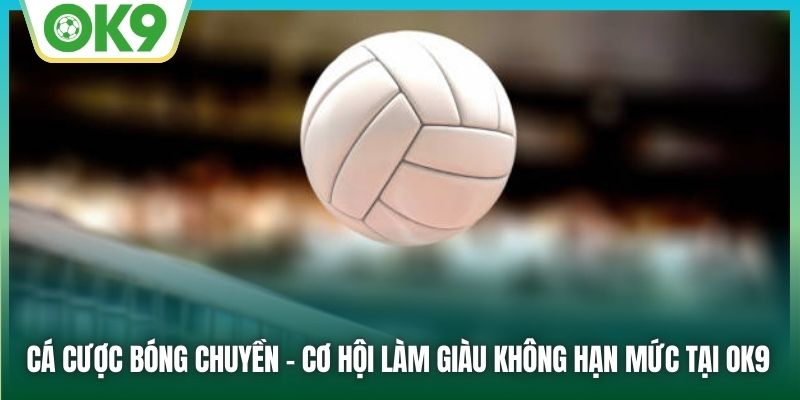 Cá Cược Bóng Chuyền | Cơ Hội Làm Giàu Không Hạn Mức Tại OK9