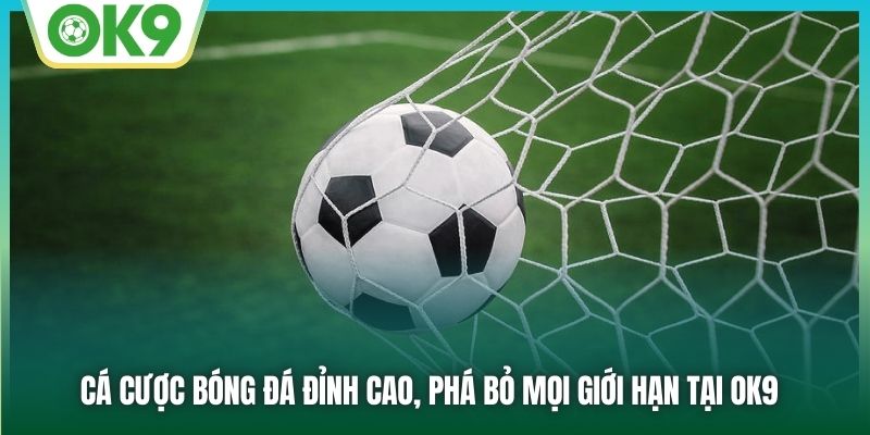 Cá Cược Bóng Đá Đỉnh Cao, Phá Bỏ Mọi Giới Hạn Tại OK9