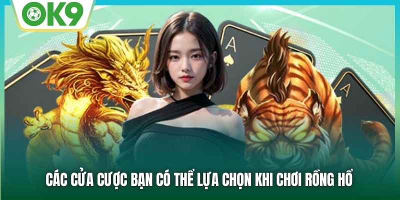 Các cửa cược bạn có thể lựa chọn khi chơi Rồng Hổ