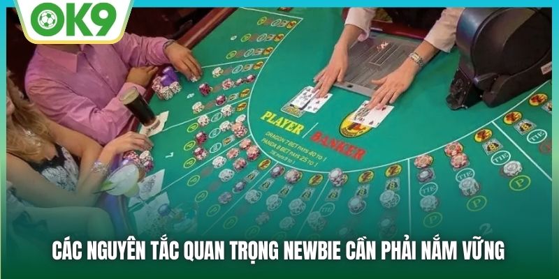 Các nguyên tắc quan trọng newbie cần phải nắm vững