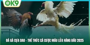 Đá Gà Cựa Dao - Thể Thức Cá Cược Máu Lửa Hàng Đầu 2025