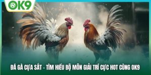 Đá Gà Cựa Sắt - Tìm Hiểu Bộ Môn Giải Trí Cực Hot Cùng OK9