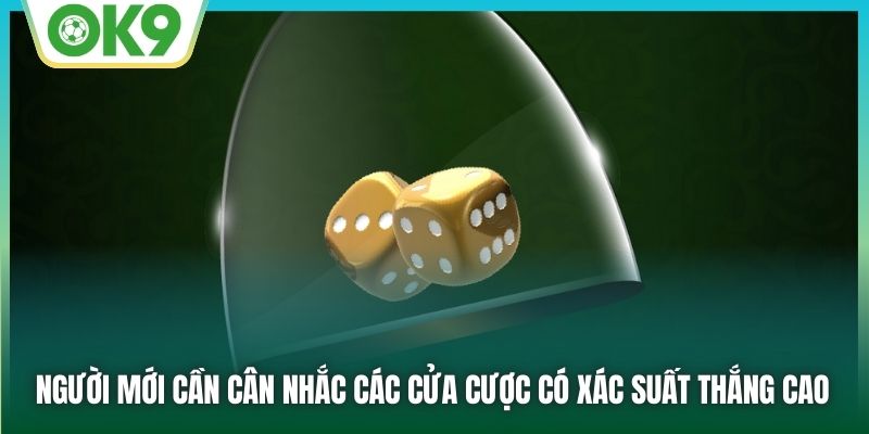 Người mới cần cân nhắc các cửa cược có xác suất thắng cao