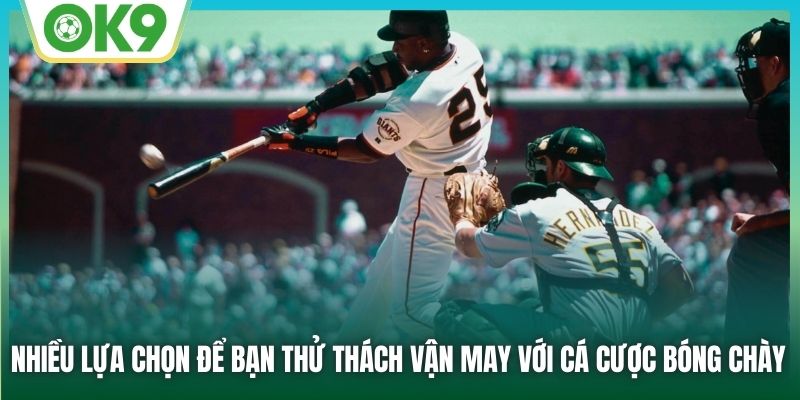 Nhiều lựa chọn để bạn thử thách vận may với cá cược bóng chày