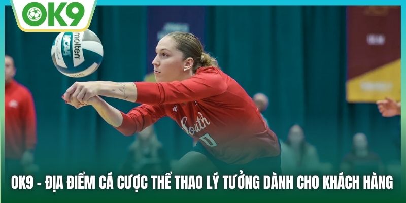 OK9 - địa điểm cá cược thể thao lý tưởng dành cho khách hàng