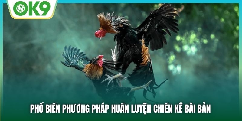 Phổ biến phương pháp huấn luyện chiến kê bài bản