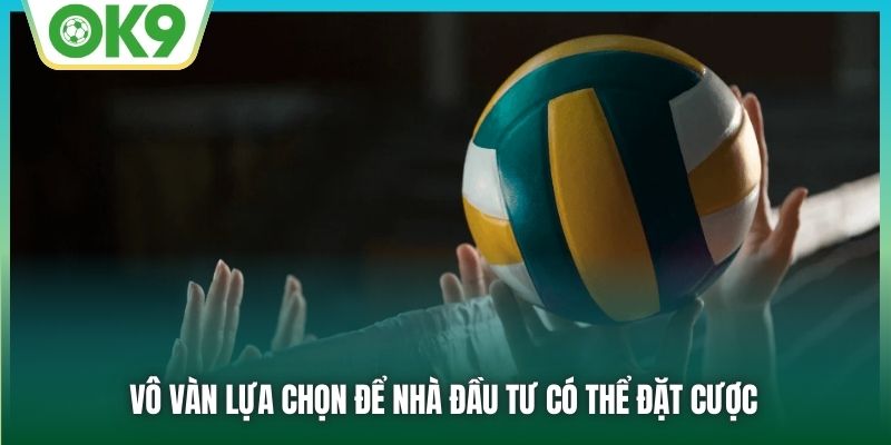 Vô vàn lựa chọn để nhà đầu tư có thể đặt cược